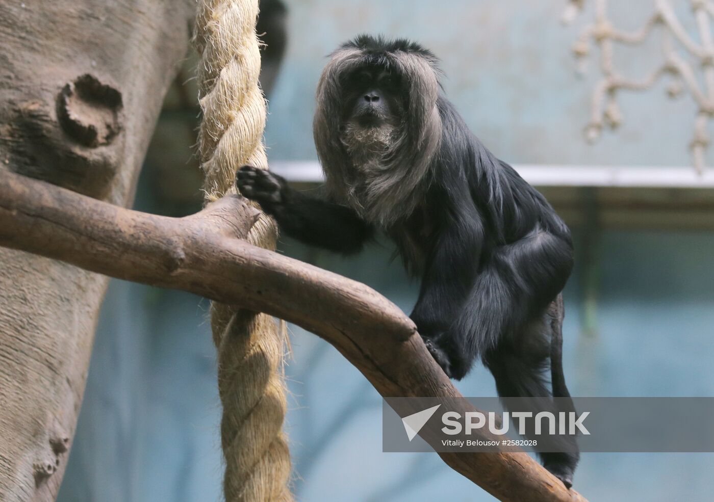 The Moscow Zoo