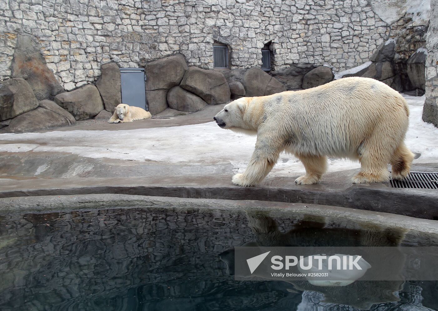 The Moscow Zoo