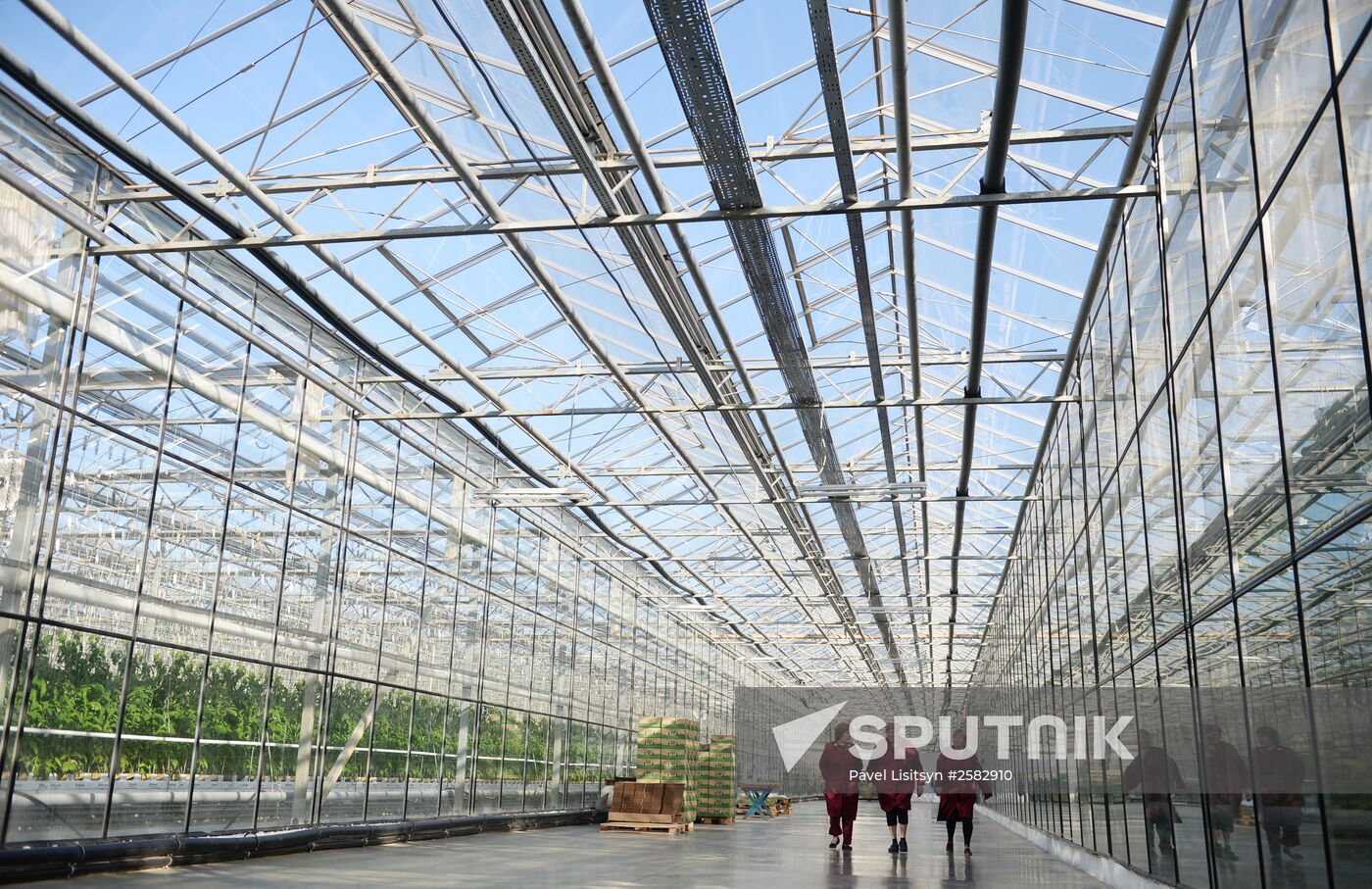 The Teplichnoye greenhouse facility in the Sverdlovsk Region