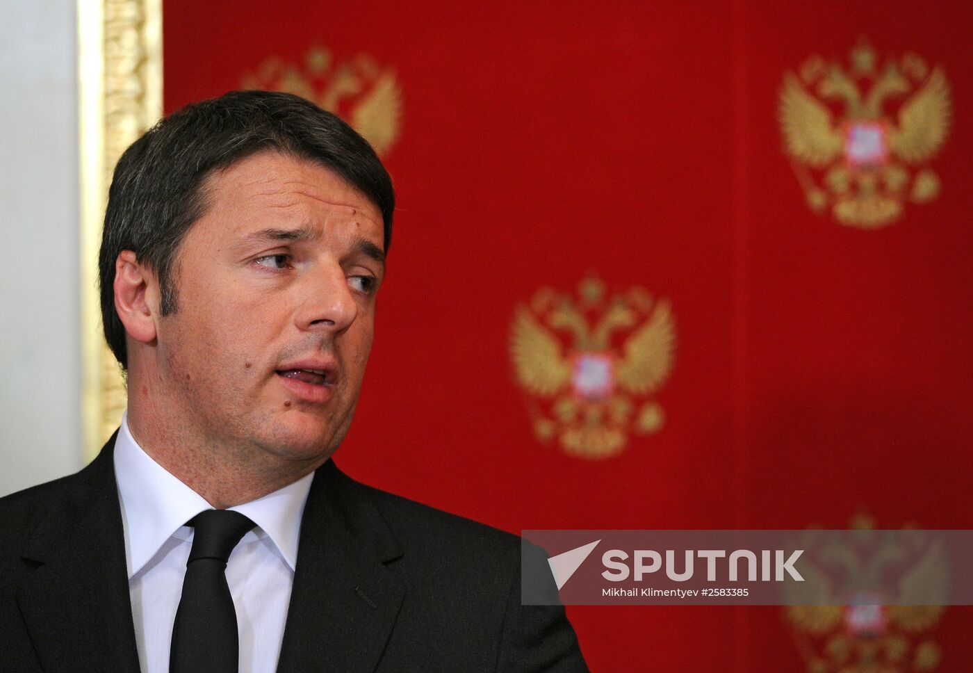 President Putin meets with Italian Prime Minister Matteo Renzi