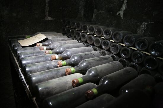 Massandra Winery in Crimea