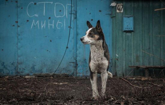 Donbas update