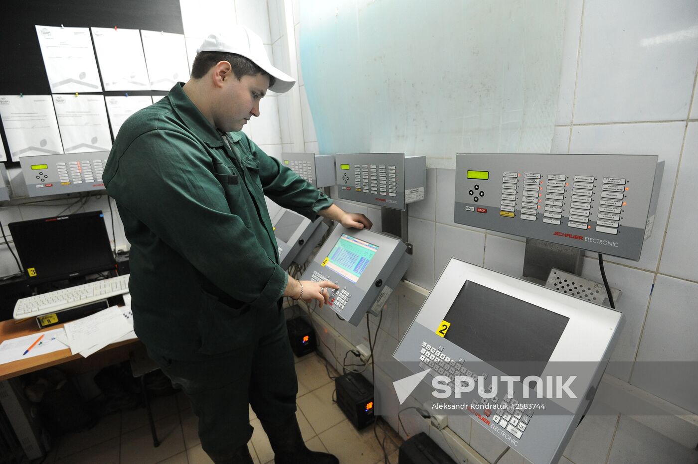 Rodnikovsky pig-breeding farm in Chelyabinsk Region
