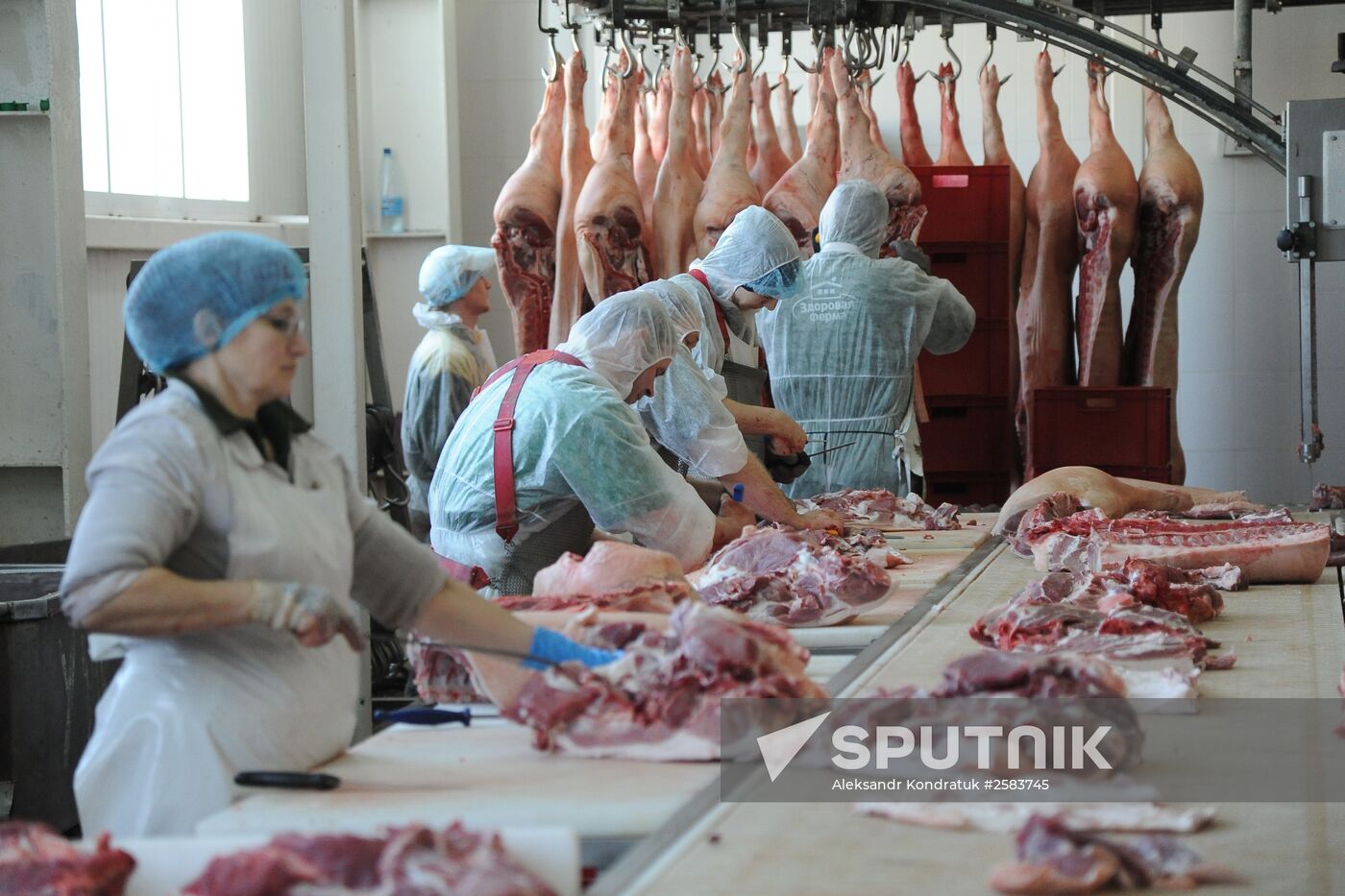 Rodnikovsky pig-breeding farm in Chelyabinsk Region