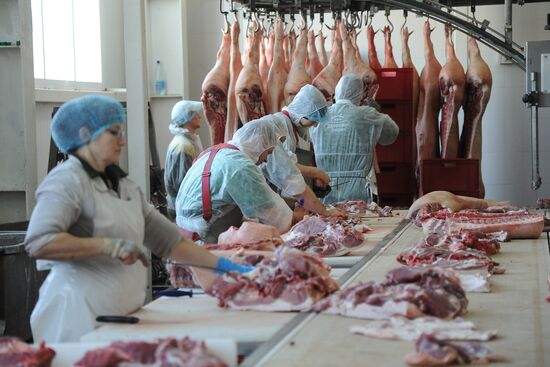 Rodnikovsky pig-breeding farm in Chelyabinsk Region