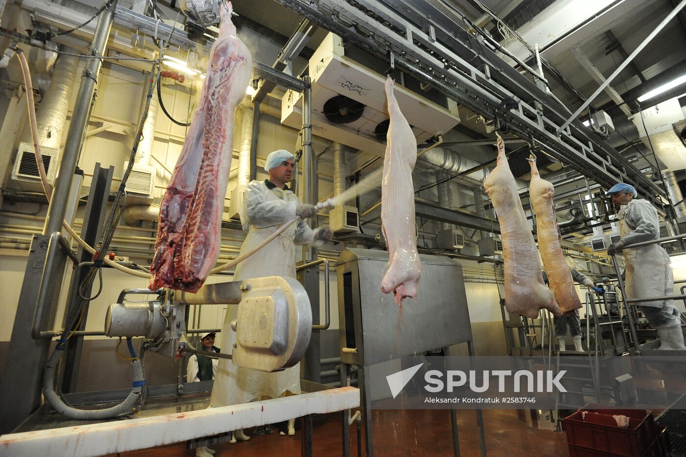 Rodnikovsky pig-breeding farm in Chelyabinsk Region