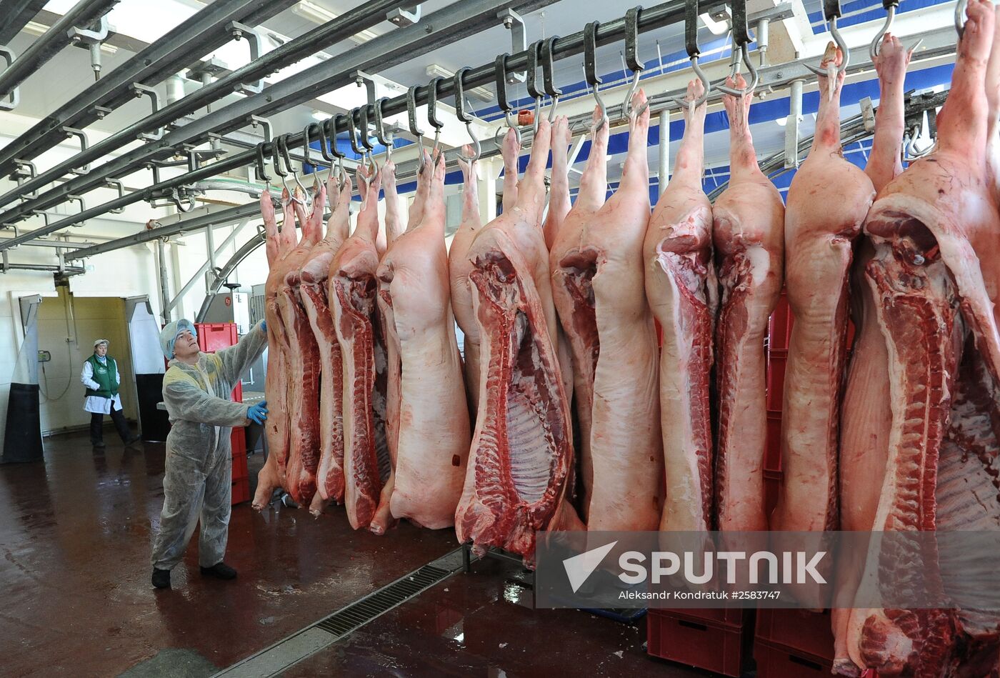 Rodnikovsky pig-breeding farm in Chelyabinsk Region