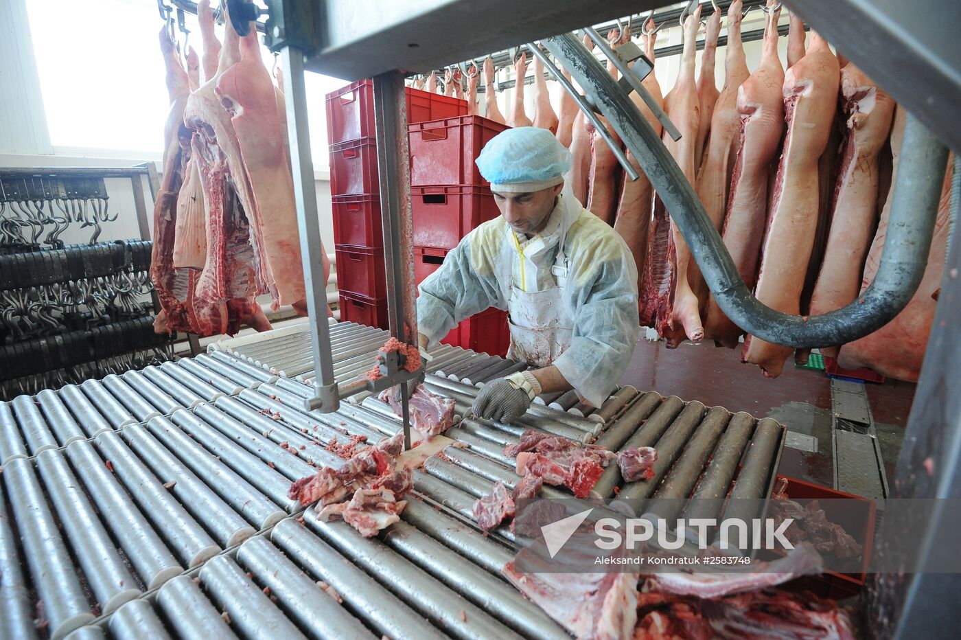 Rodnikovsky pig-breeding farm in Chelyabinsk Region