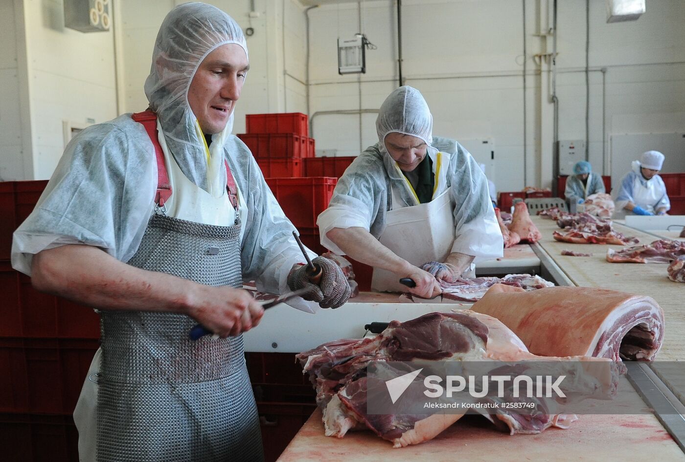 Rodnikovsky pig-breeding farm in Chelyabinsk Region
