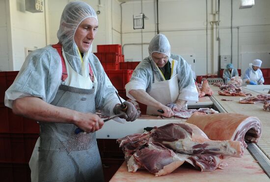 Rodnikovsky pig-breeding farm in Chelyabinsk Region