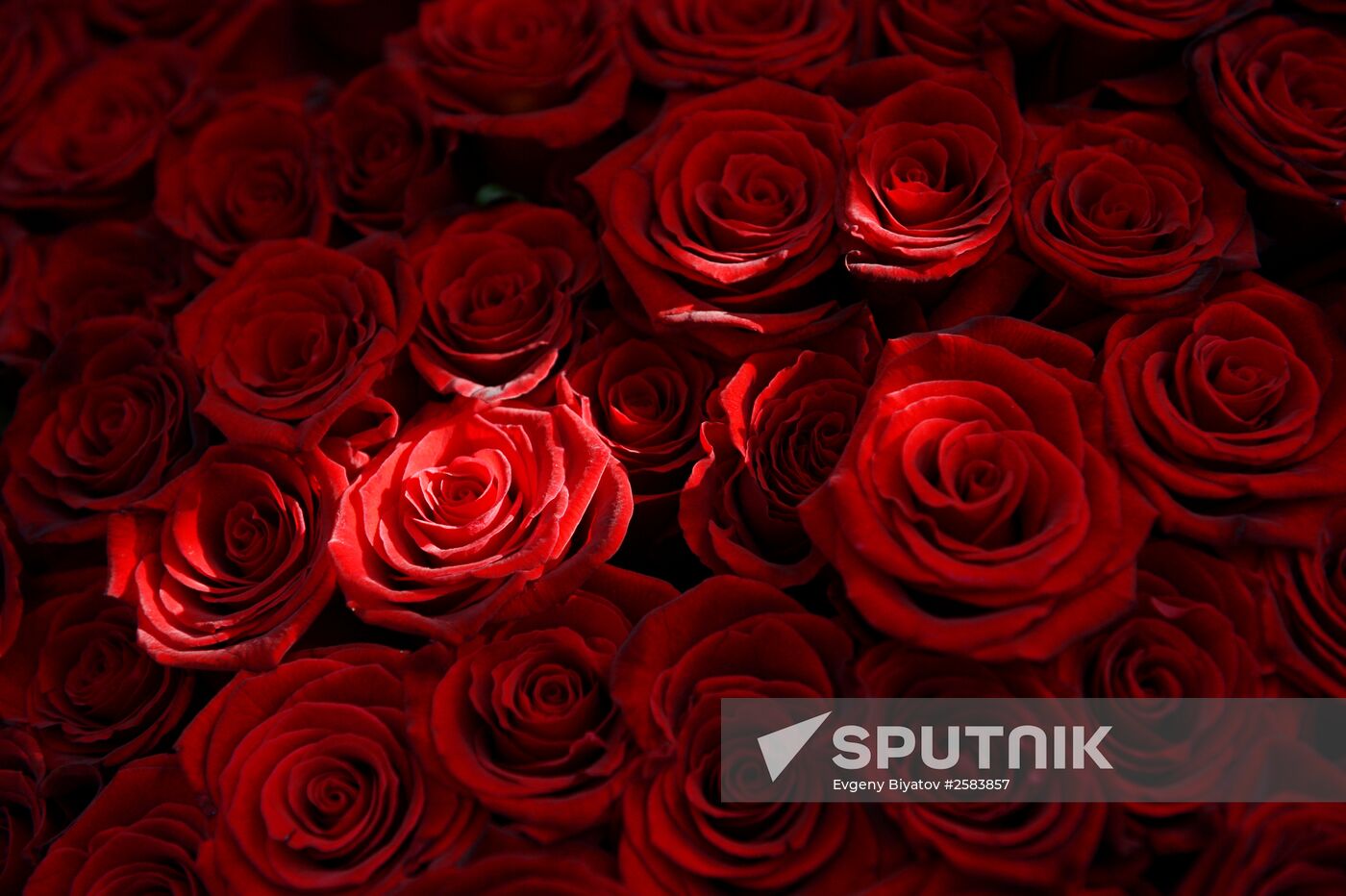 Selling flowers on eve of March 8
