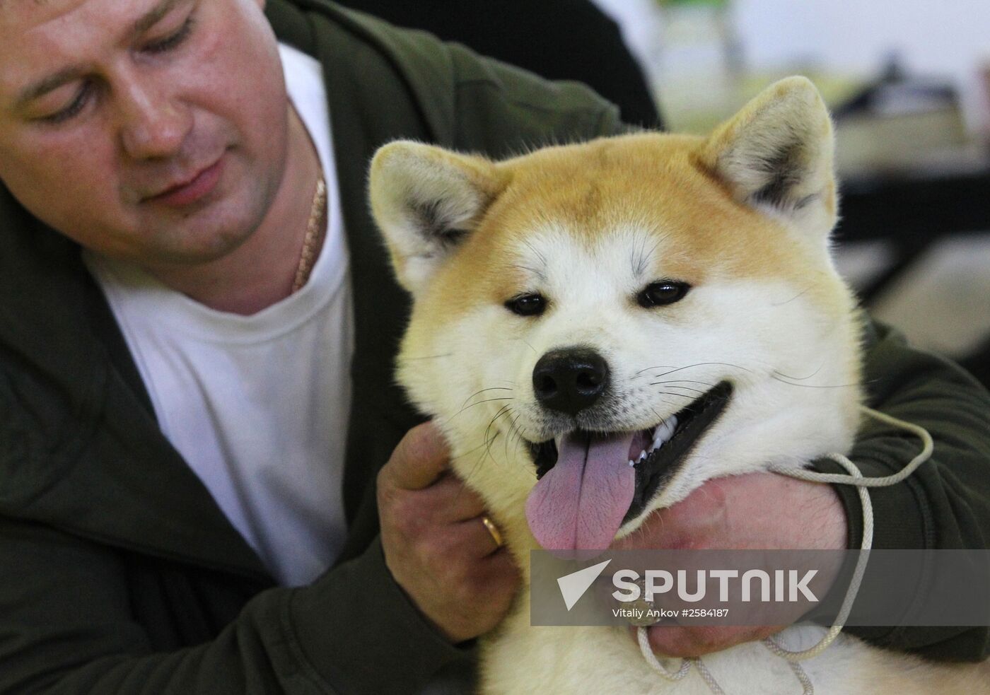 Dog exhibition in Vladivostok