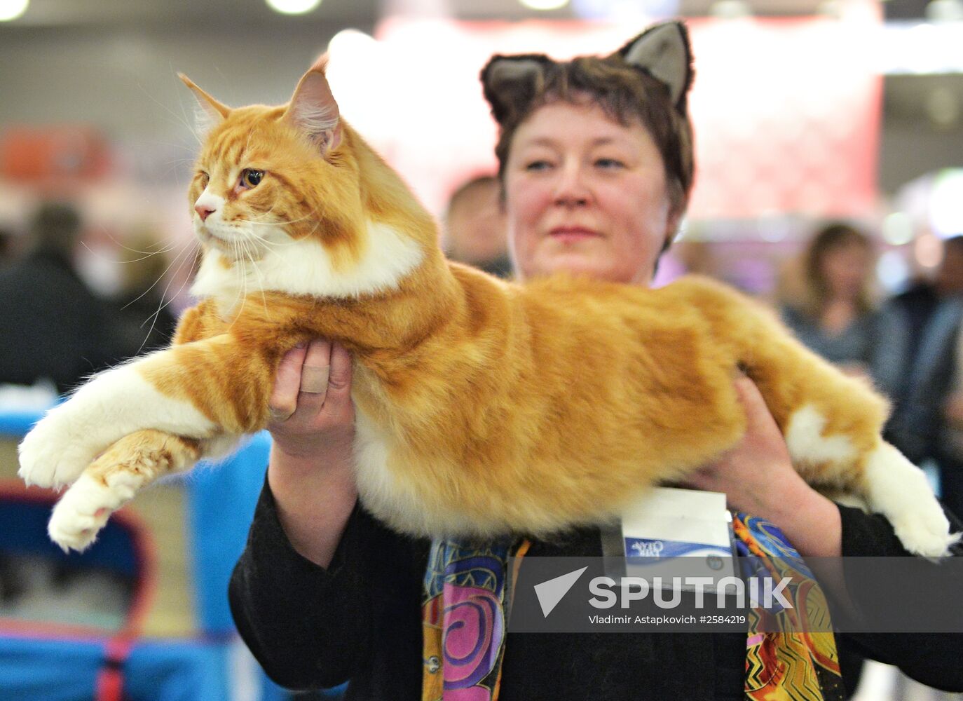 CATSBURG-2015 International Cat Show