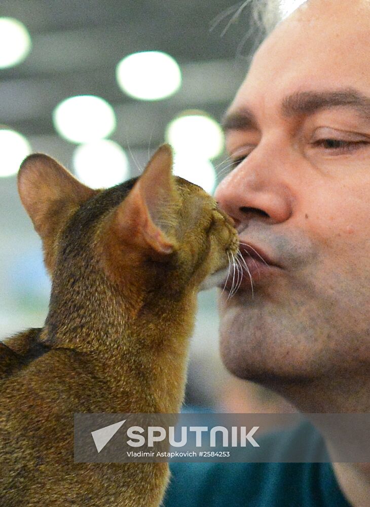 CATSBURG-2015 International Cat Show
