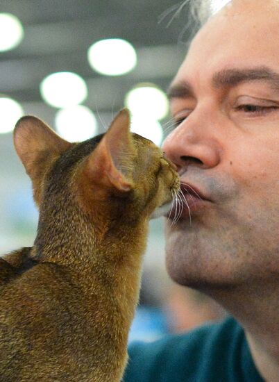 CATSBURG-2015 International Cat Show