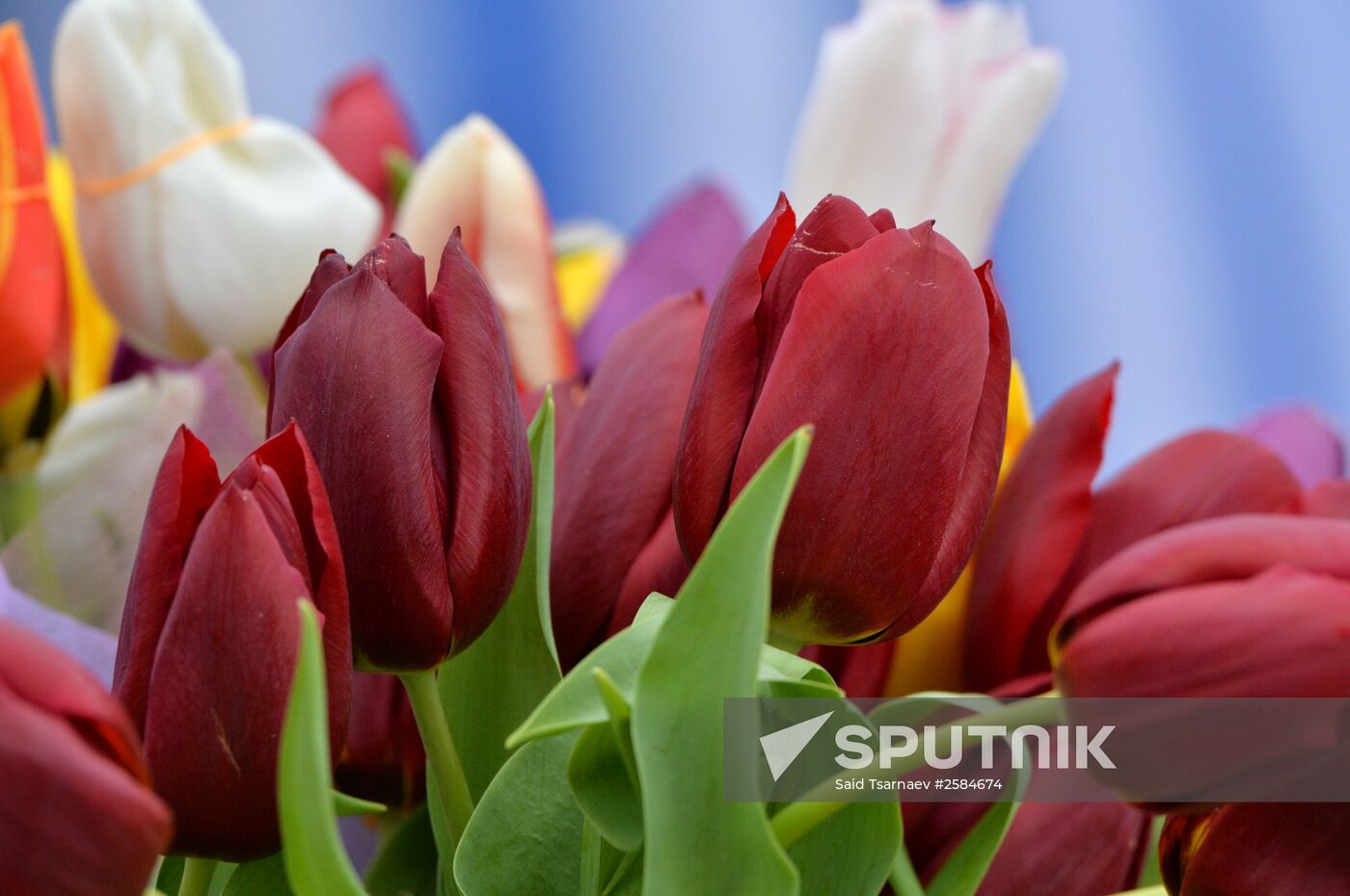 Flowers sold in Grozny on March 8