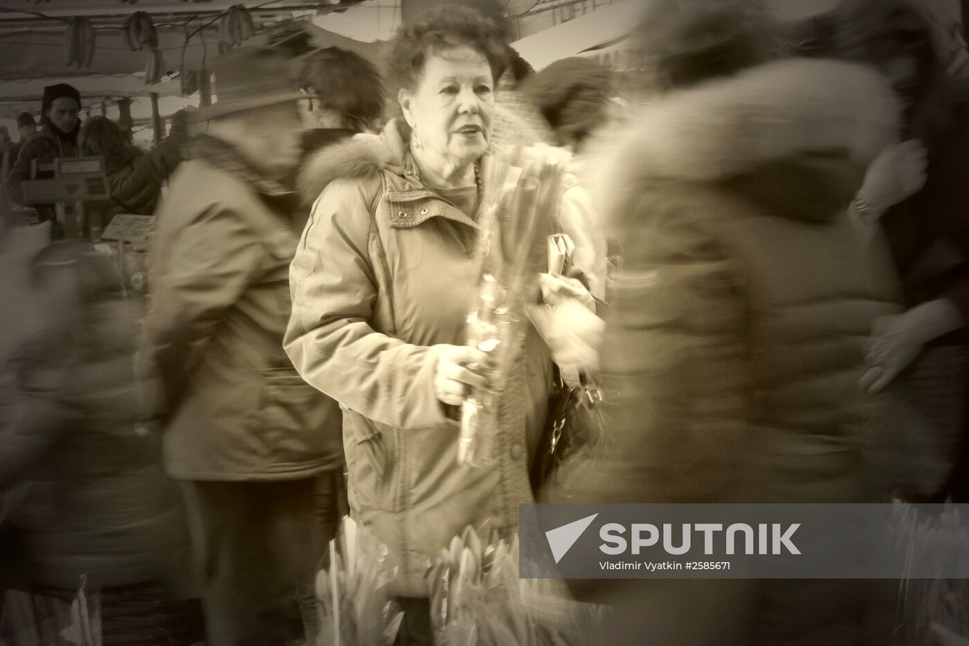 Cities of the world. Venice