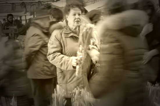 Cities of the world. Venice