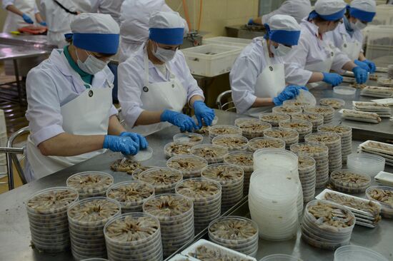 Fish processing factory of Kamshat Group of Companies in Novosibirsk