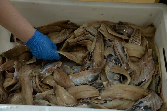 Kamshat Group's fish processing facility in Novosibirsk