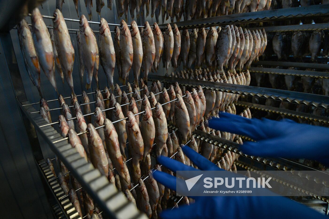 Kamshat Group's fish processing facility in Novosibirsk