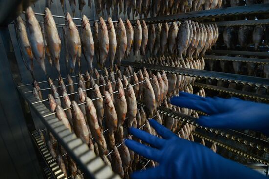 Kamshat Group's fish processing facility in Novosibirsk