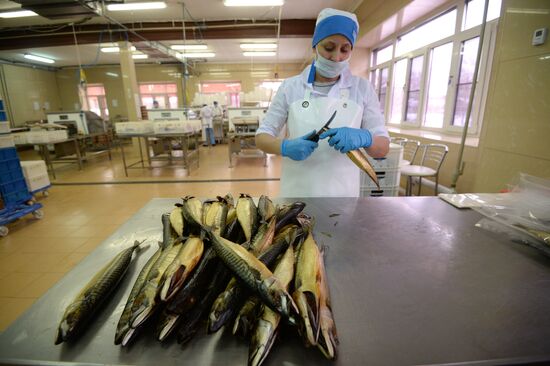 Kamshat Group's fish processing facility in Novosibirsk