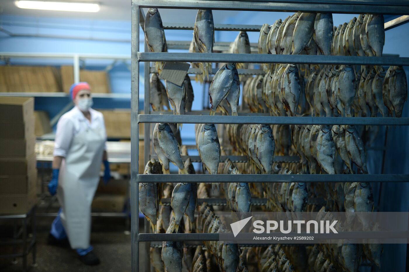 Kamshat Group's fish processing facility in Novosibirsk
