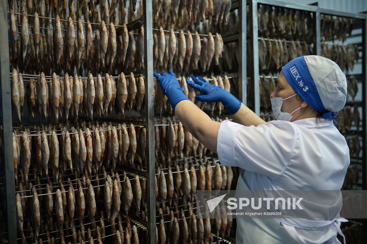 Kamshat Group's fish processing facility in Novosibirsk