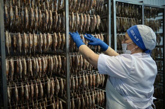 Kamshat Group's fish processing facility in Novosibirsk