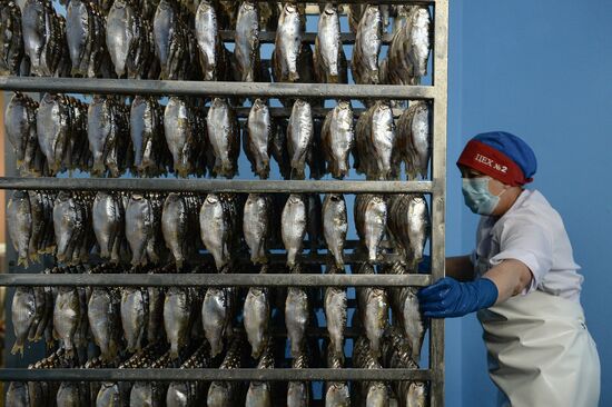 Kamshat Group's fish processing facility in Novosibirsk