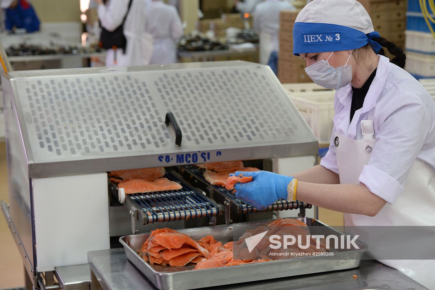 Kamshat Group's fish processing facility in Novosibirsk