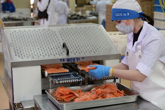 Kamshat Group's fish processing facility in Novosibirsk