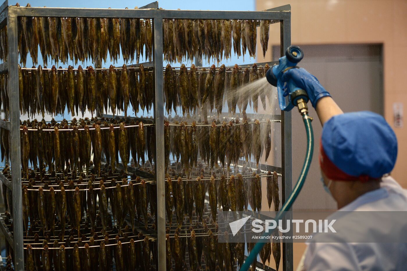 Kamshat Group's fish processing facility in Novosibirsk