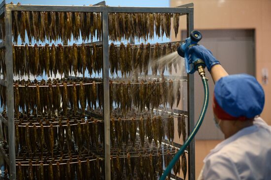 Kamshat Group's fish processing facility in Novosibirsk