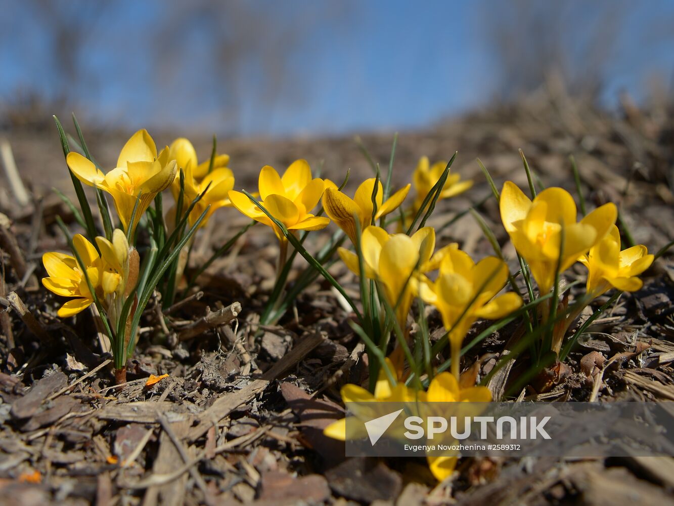 Warm weather in Moscow