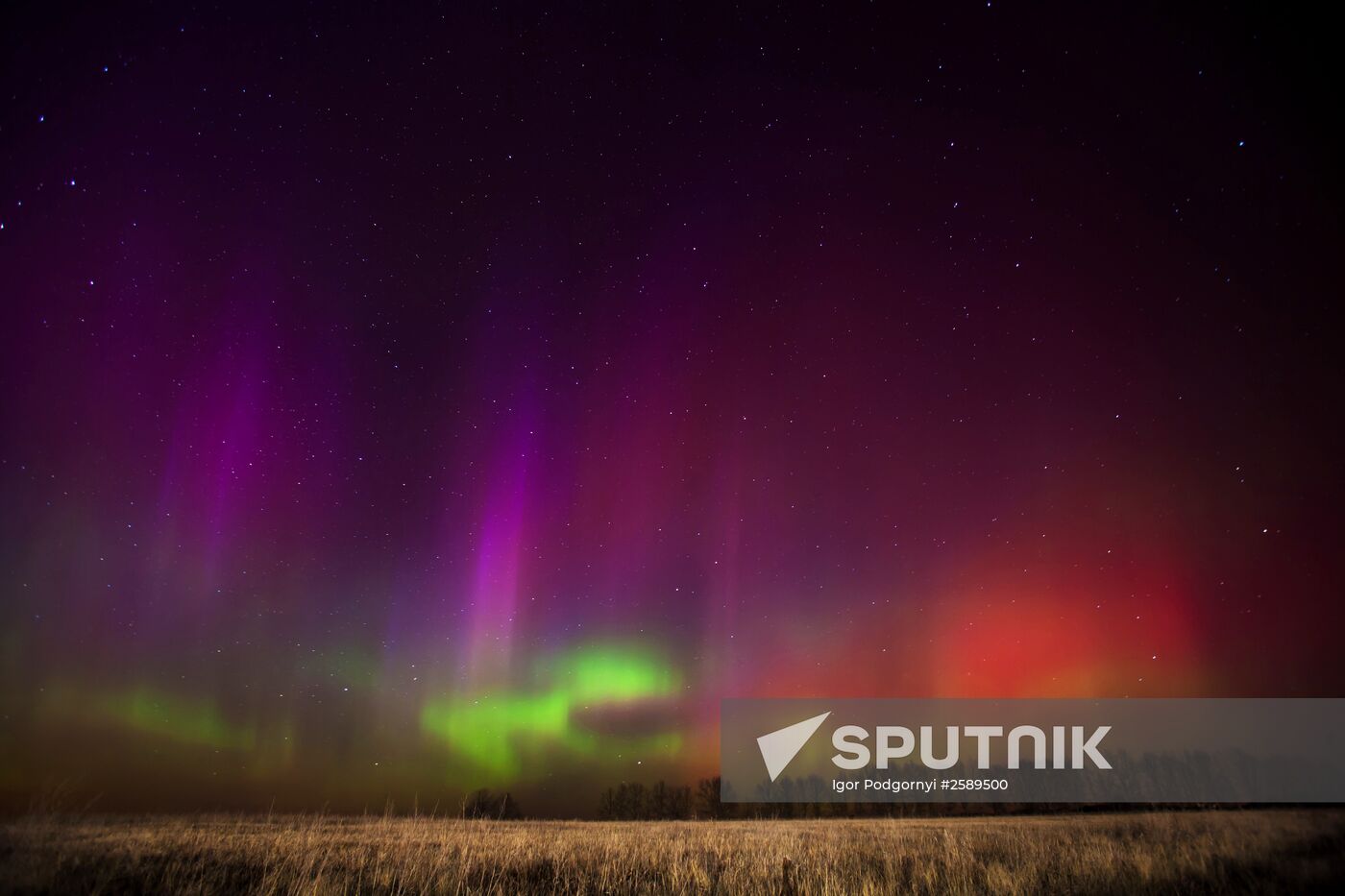 Aurora in the Ryazan Region