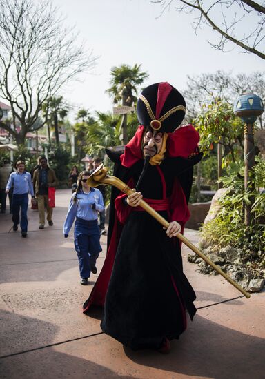 The Paris Disneyland