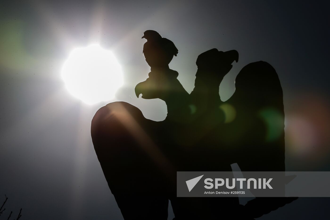 Solar eclipse