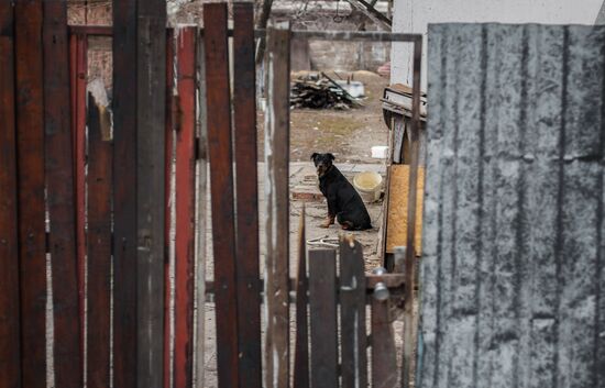 Situation in Donbass