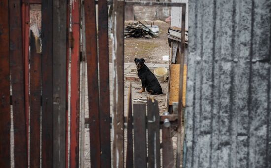 Donbass update