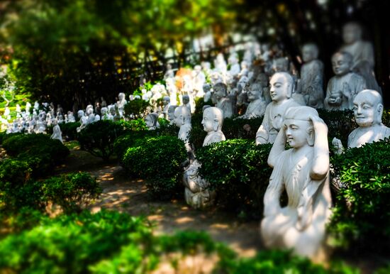Cities of the world. Jilong