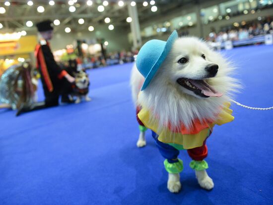 International Dog Show "Eurasia - 2015"