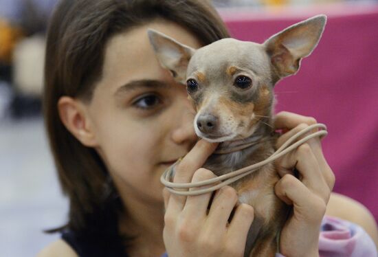International Dog Show "Eurasia - 2015"