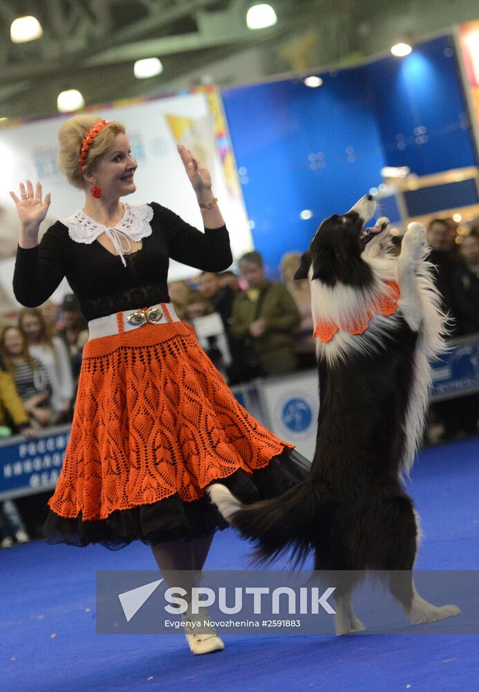 International Dog Show "Eurasia - 2015"