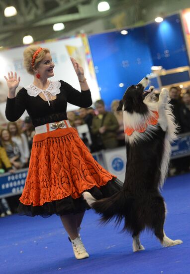 International Dog Show "Eurasia - 2015"
