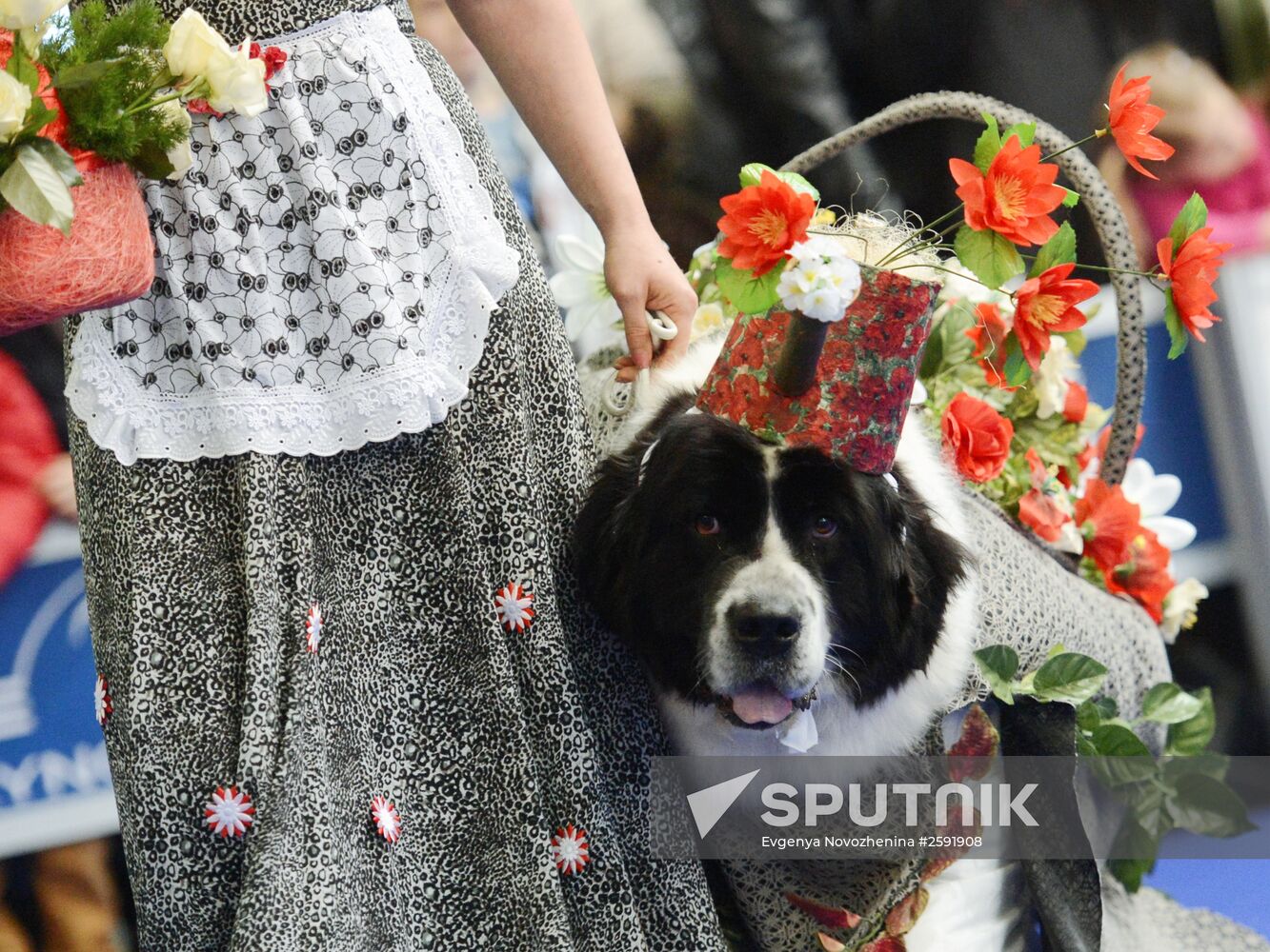 International Dog Show "Eurasia - 2015"