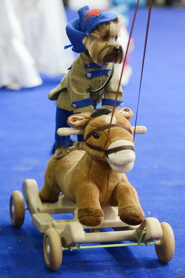 International Dog Show "Eurasia - 2015"