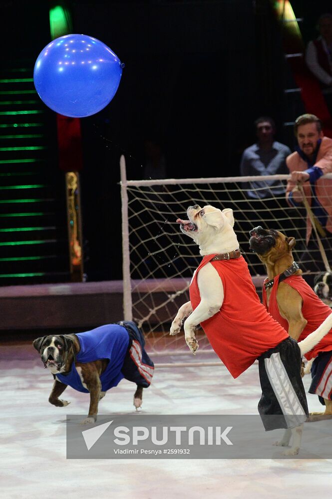 Like Russian circus show premieres in Moscow