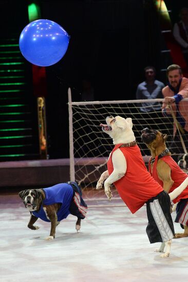 Like Russian circus show premieres in Moscow